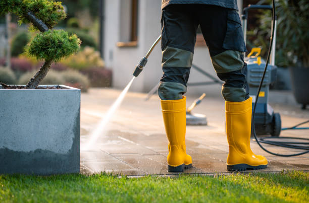 Best Pressure Washing Brick  in Nolanville, TX